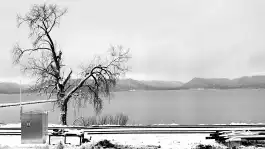 Mighty Bleak Mississippi River-Pepin, WI